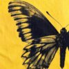 Remera - Mariposa - Debajo de los árboles - Imagen 3