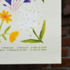 Flores Silvestres - Lucila Gonzalez - Imagen 2