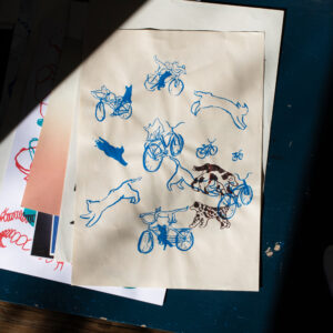 Bicis - Raula