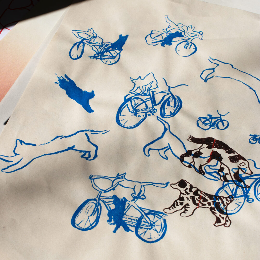 Bicis - Raula - Imagen 2