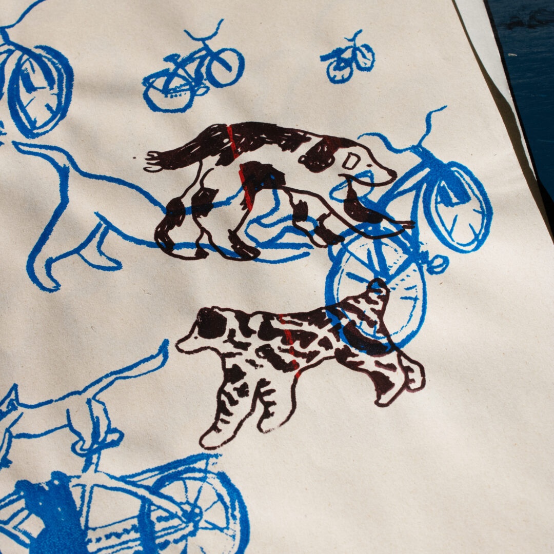 Bicis - Raula - Imagen 3