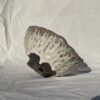 Bowl huella - Crema - Imagen 2