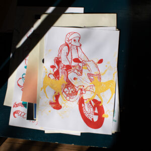 Moto - Raula
