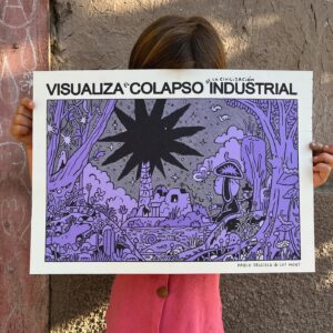 Visualiza el colapso - Ediciones Granizo