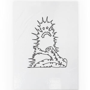 DEVOTION - Mario Nieva