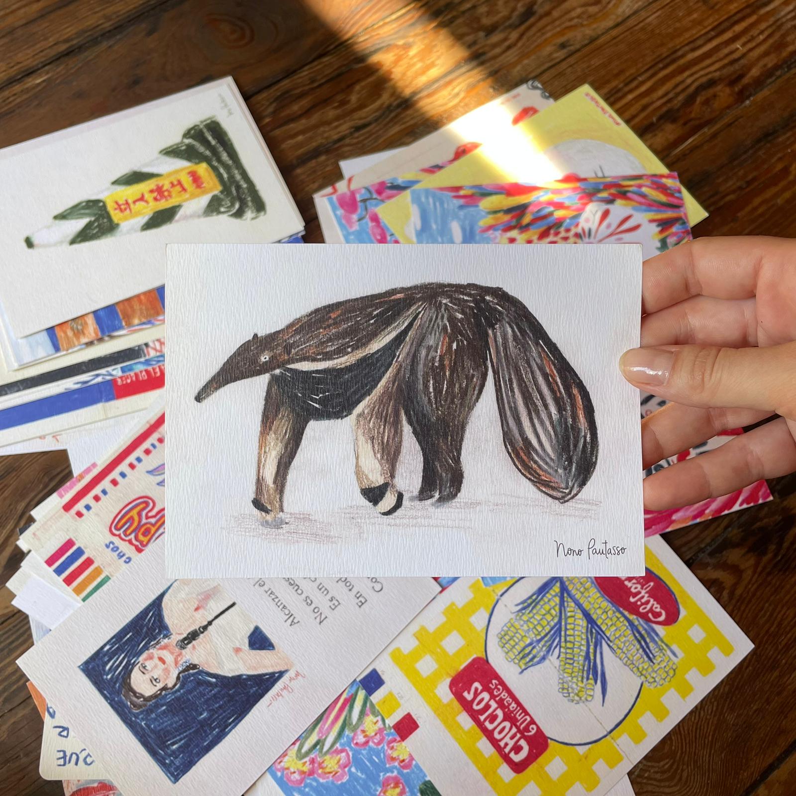 Postales Animales - Nono Pautasso