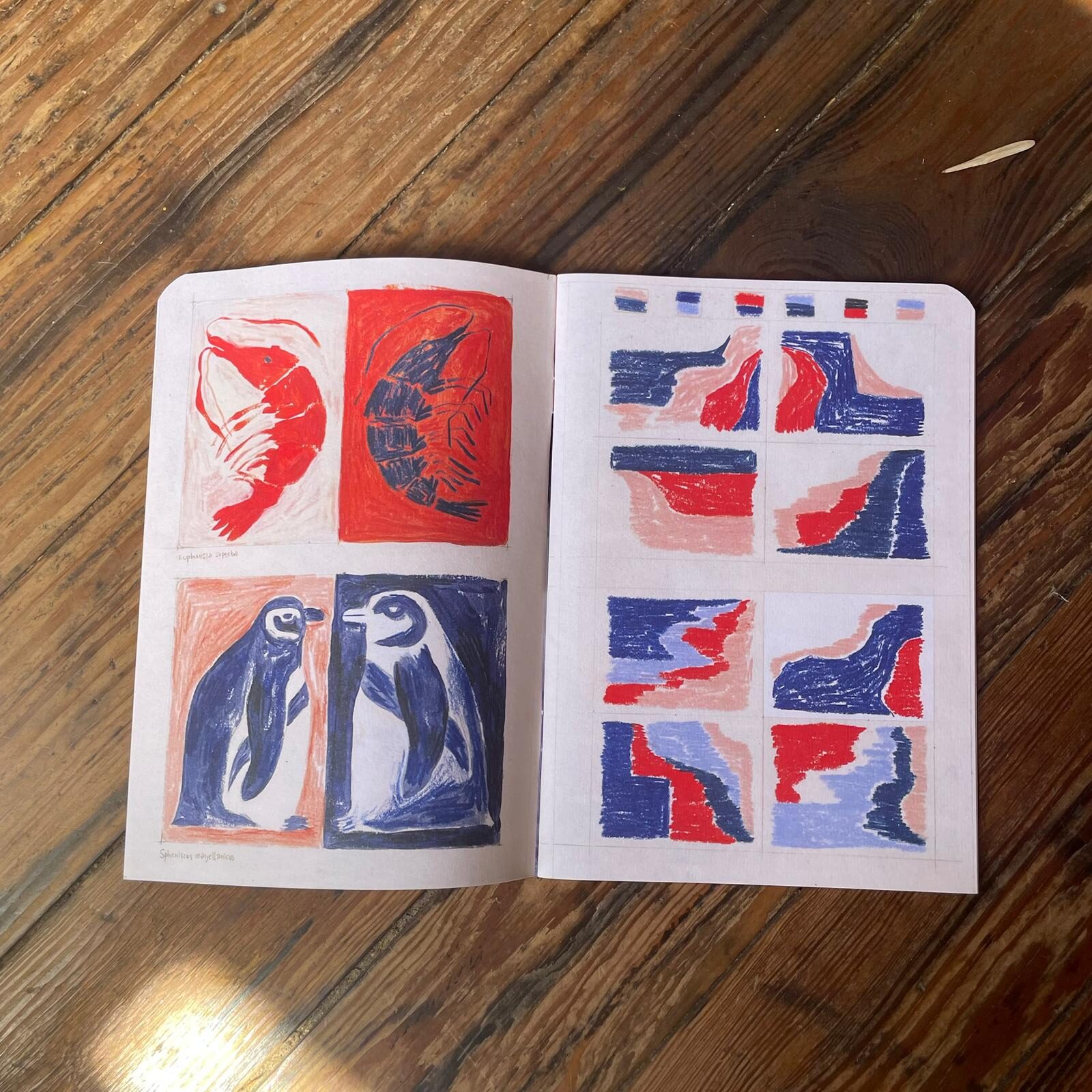 Tocar fondo - Nono Pautasso - Imagen 2