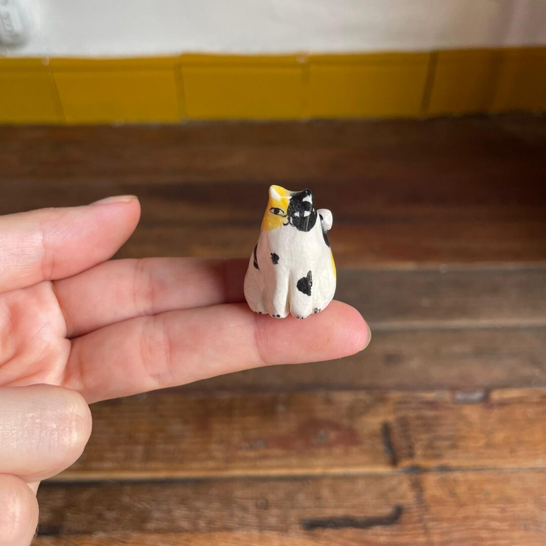 Gatito - Catalina Cartagena